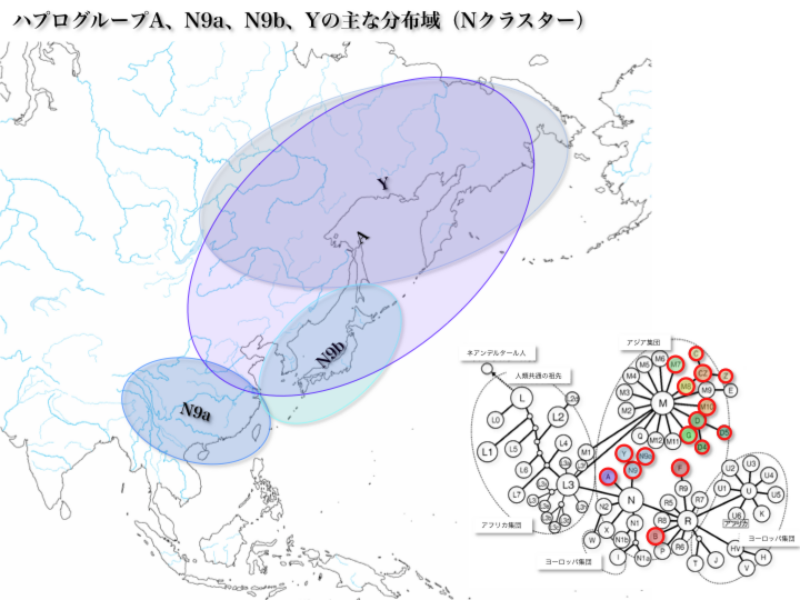 【Eテレ/進む混血化】なんと最新の研究で現代日本人のDNAが韓国人や中国人に近付いていることが判明！それを知った小島瑠璃子も驚愕！	YouTube動画>1本 ->画像>60枚 